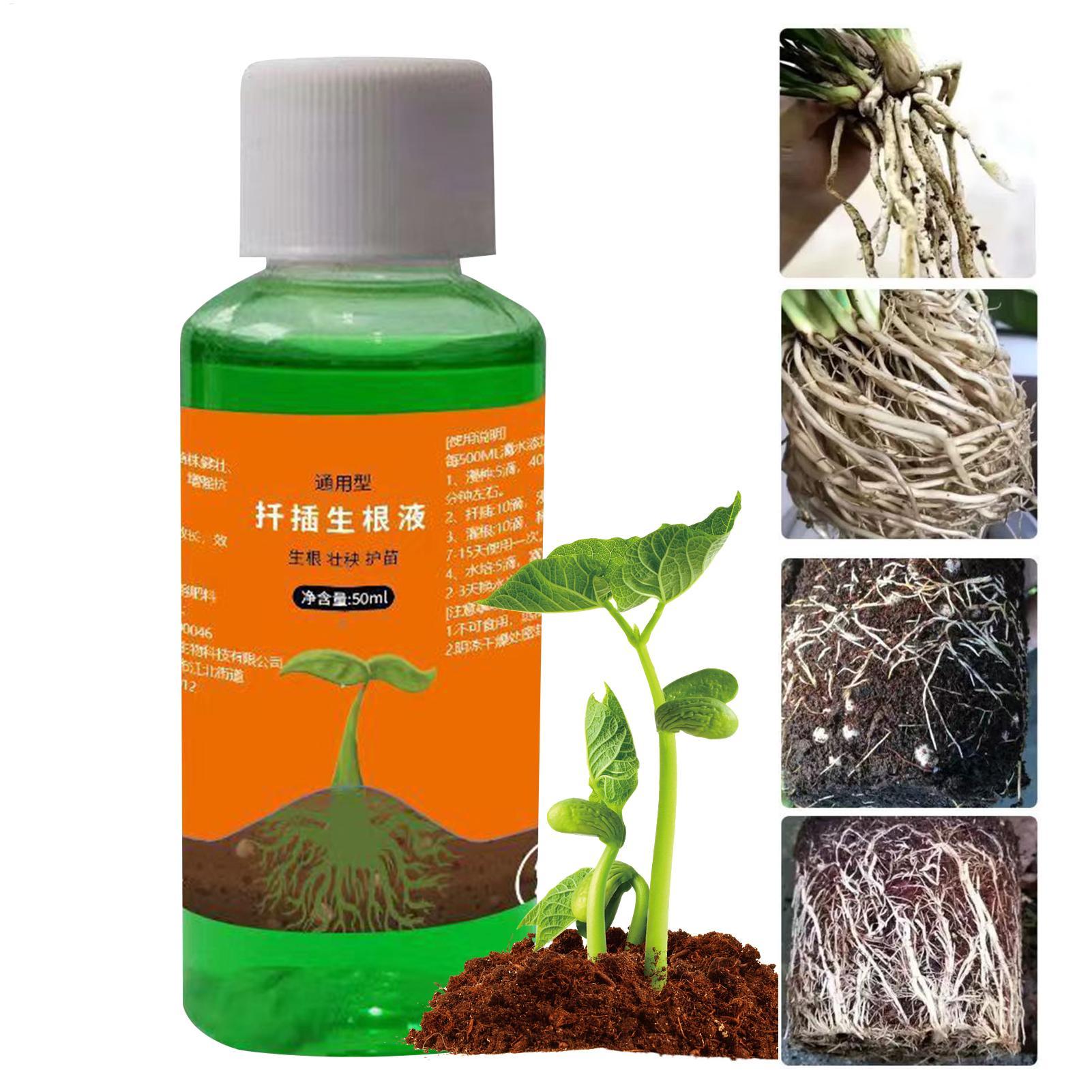 Root Stimulator Liquid - محلول مغذي لنقل النباتات سعة 50