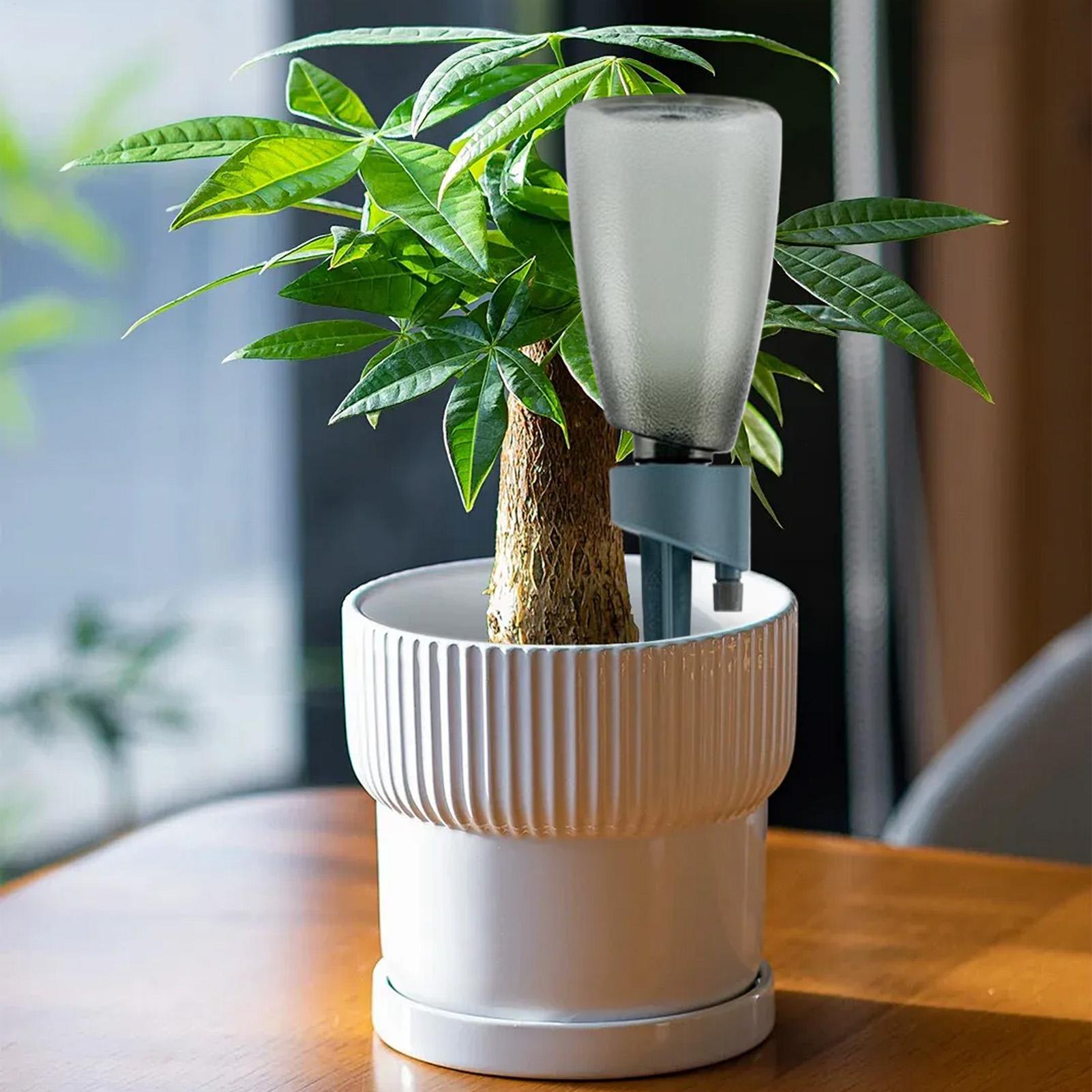 6 قطع من نظام الري الذاتي للنب - مراجعة Self Watering Insert وسعره