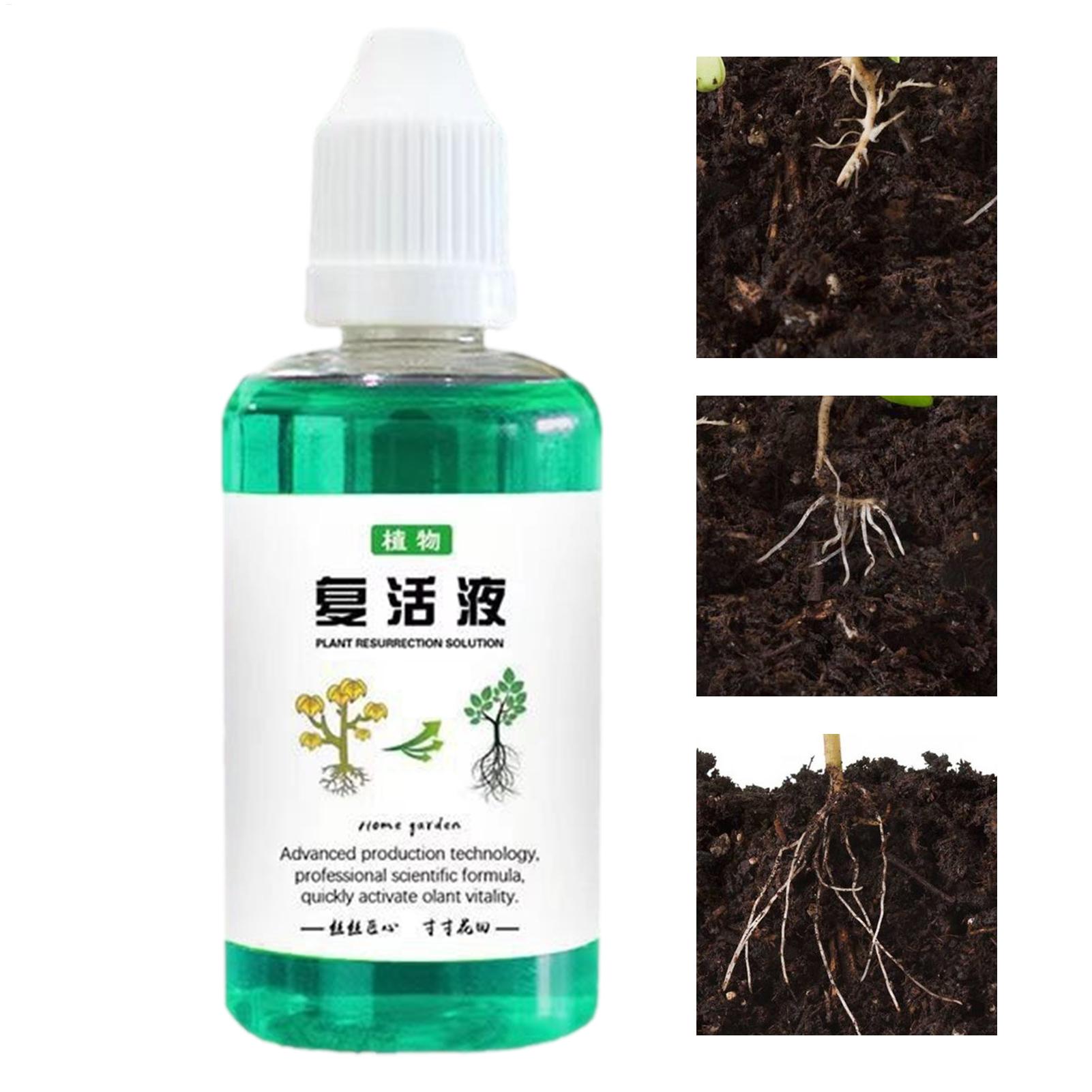 سائل تحفيز الجذور 50 مل، مُنشط - مراجعة Root Stimulator Liquid وسعره