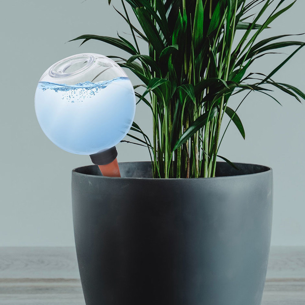 3 قطع من كرات الري الأوتوماتيك - مراجعة Self Watering Insert وسعره