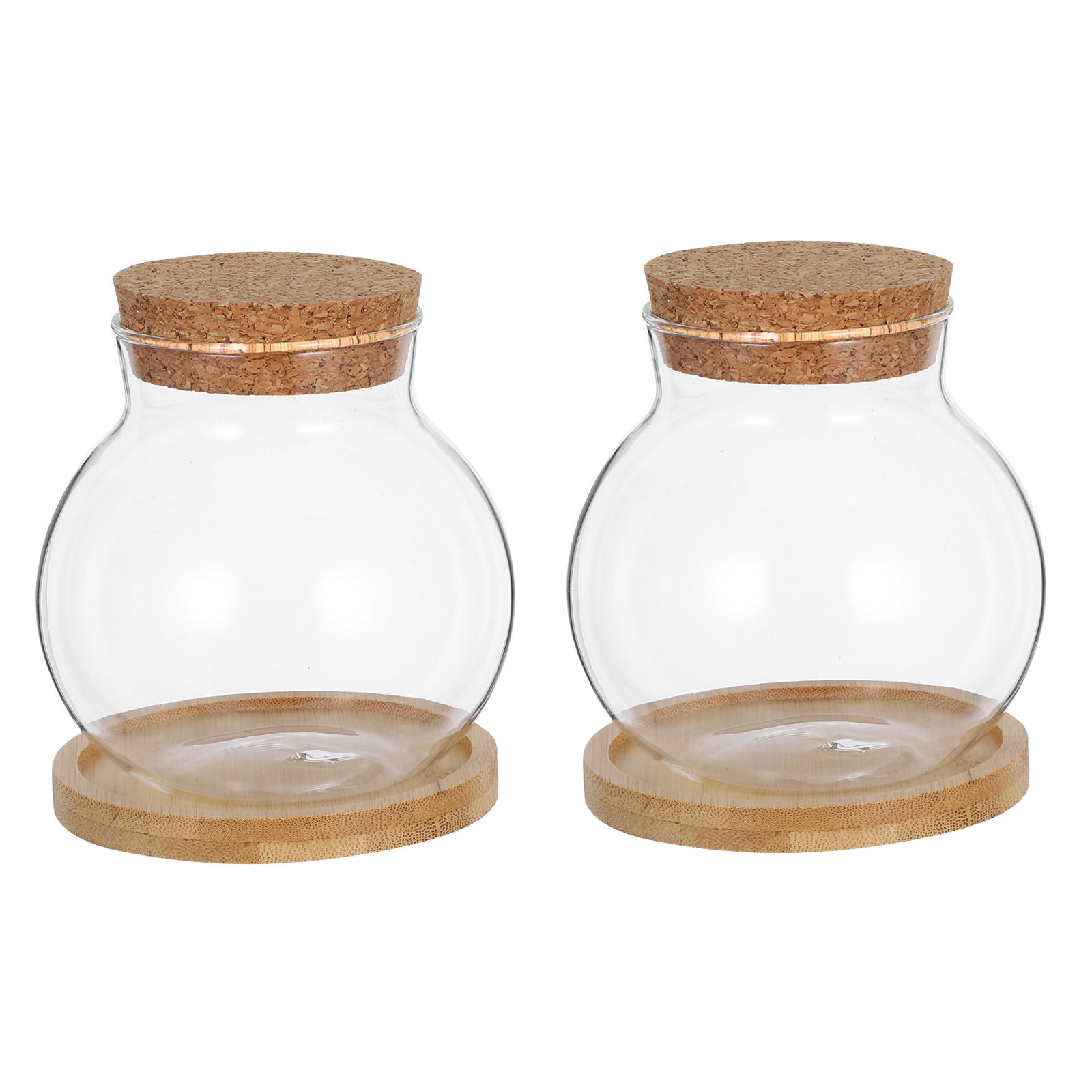 مجموعة من 2 مزهرية زجاجية أنيق - مراجعة Propagation Station Vase وسعره
