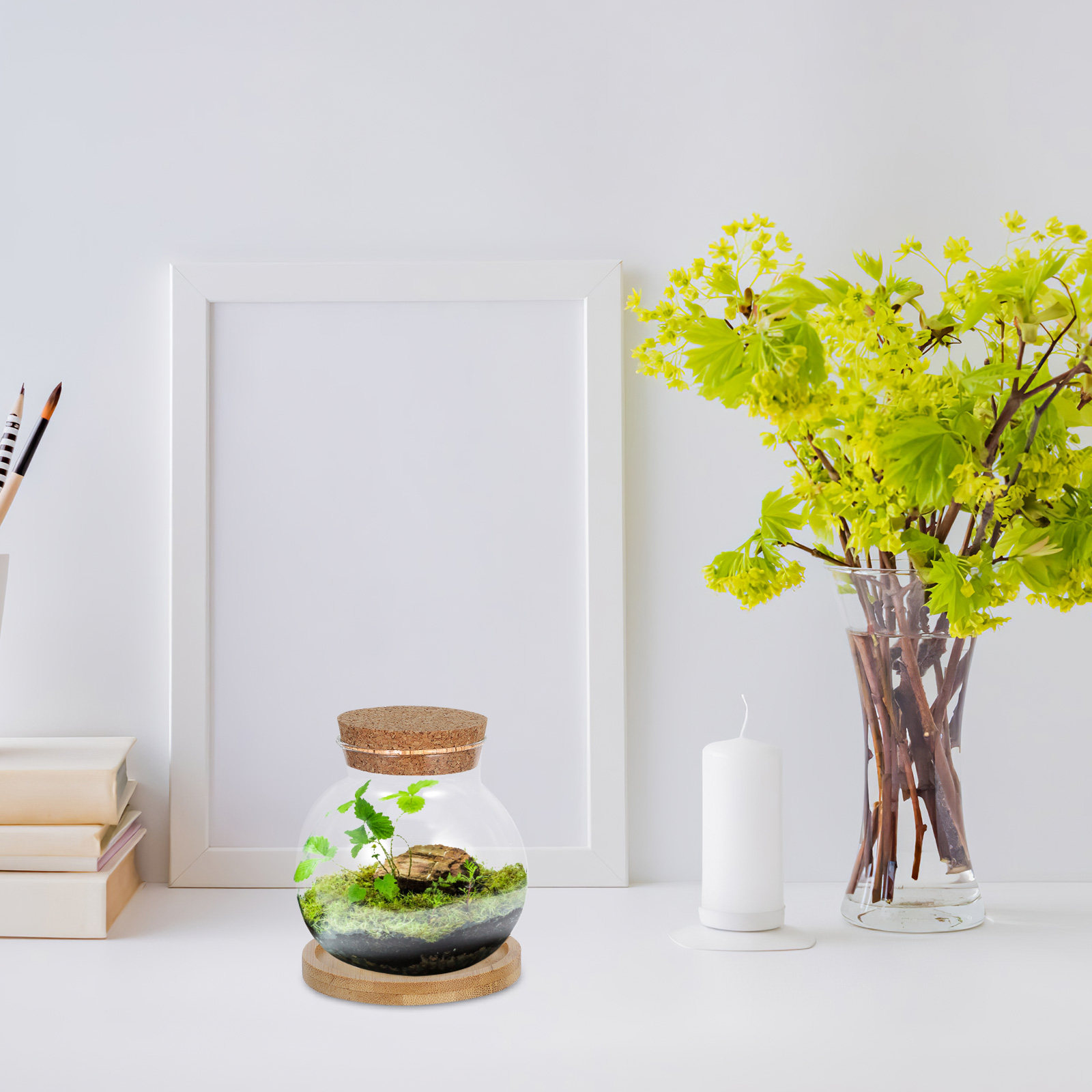 مجموعة من 2 مزهرية زجاجية أنيق - مراجعة Propagation Station Vase وسعره