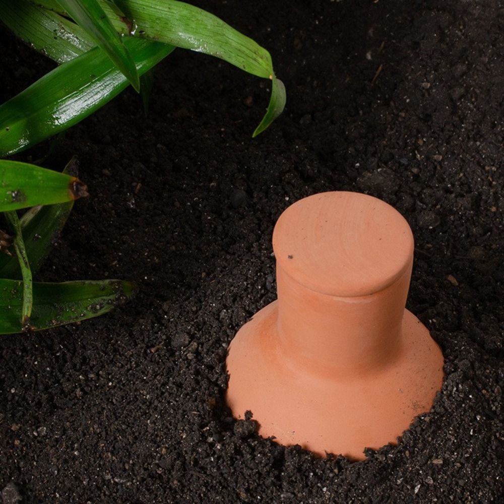 4 قطع من مسامير الري الذاتي ال - مراجعة Self Watering Insert وسعره